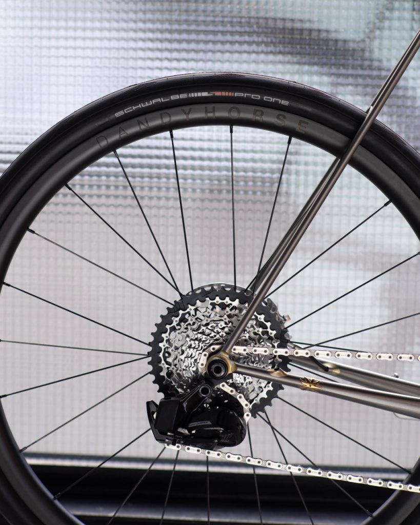 Dandy Horse Pulsar 30 ARV z oponą Schwalbe PRO ONE