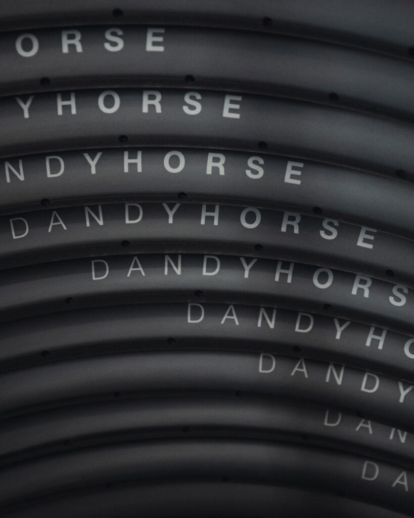 dandy horse rims